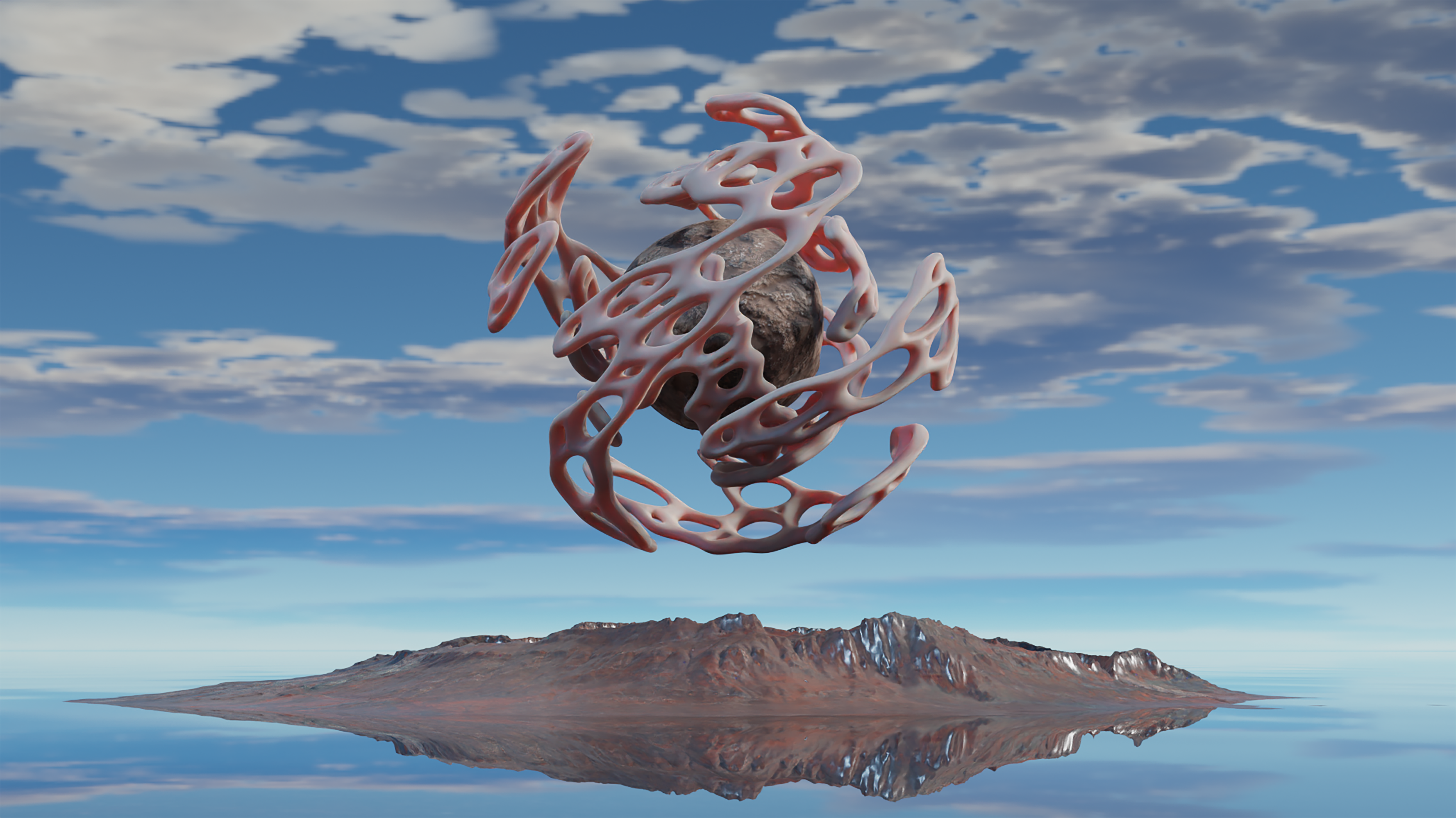 Fluid Bodies